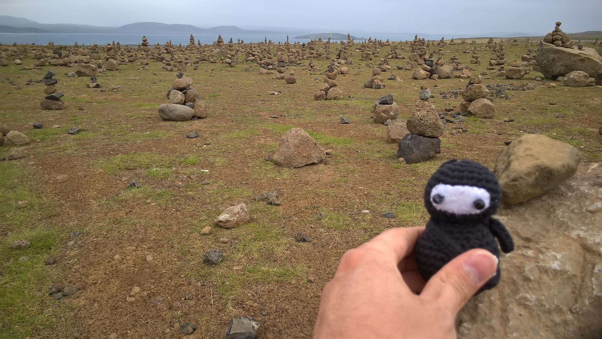 Neumel in der nähe von Thingvellir