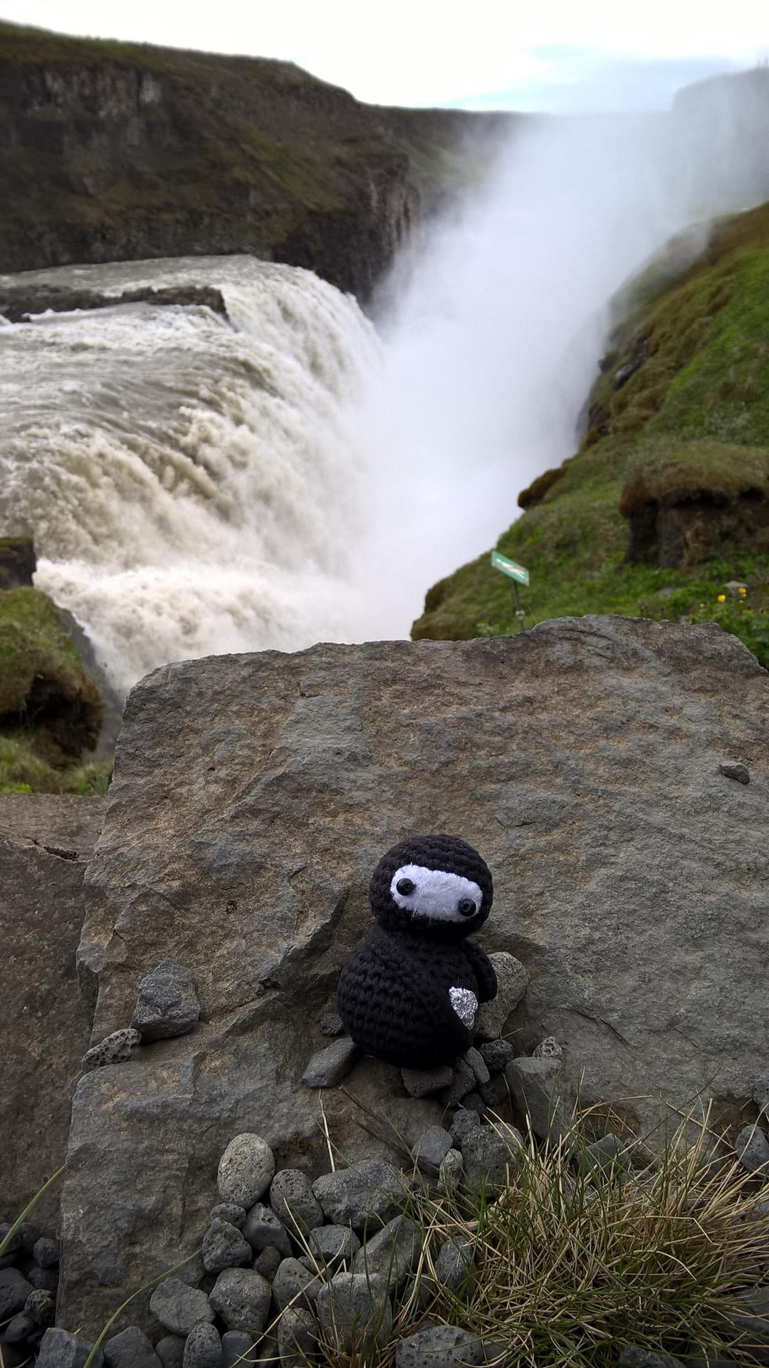 Neumel am Gullfoss, dem größten Wasserfall Islands (nach Wassermenge)