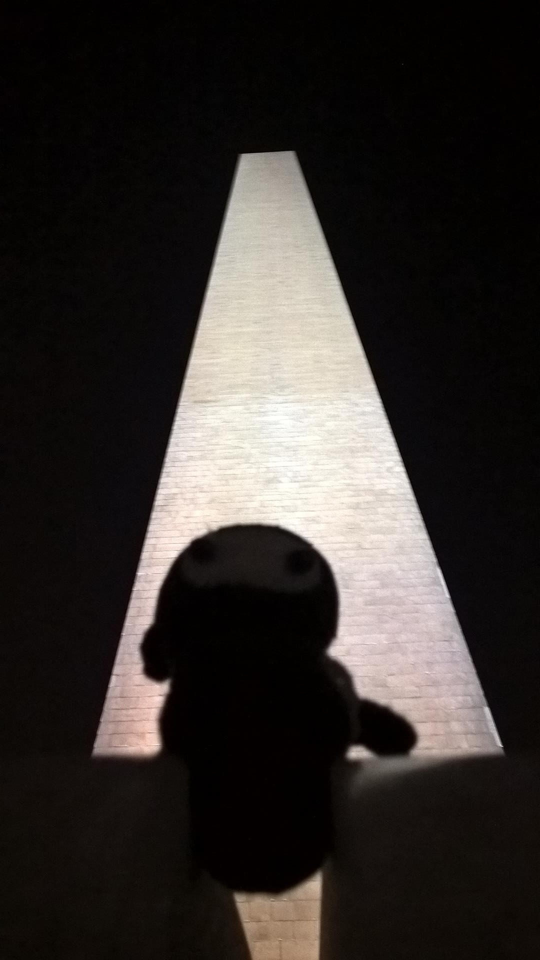 Schattenkrieger: Neumel versteckt sich vor dem Washington Memorial