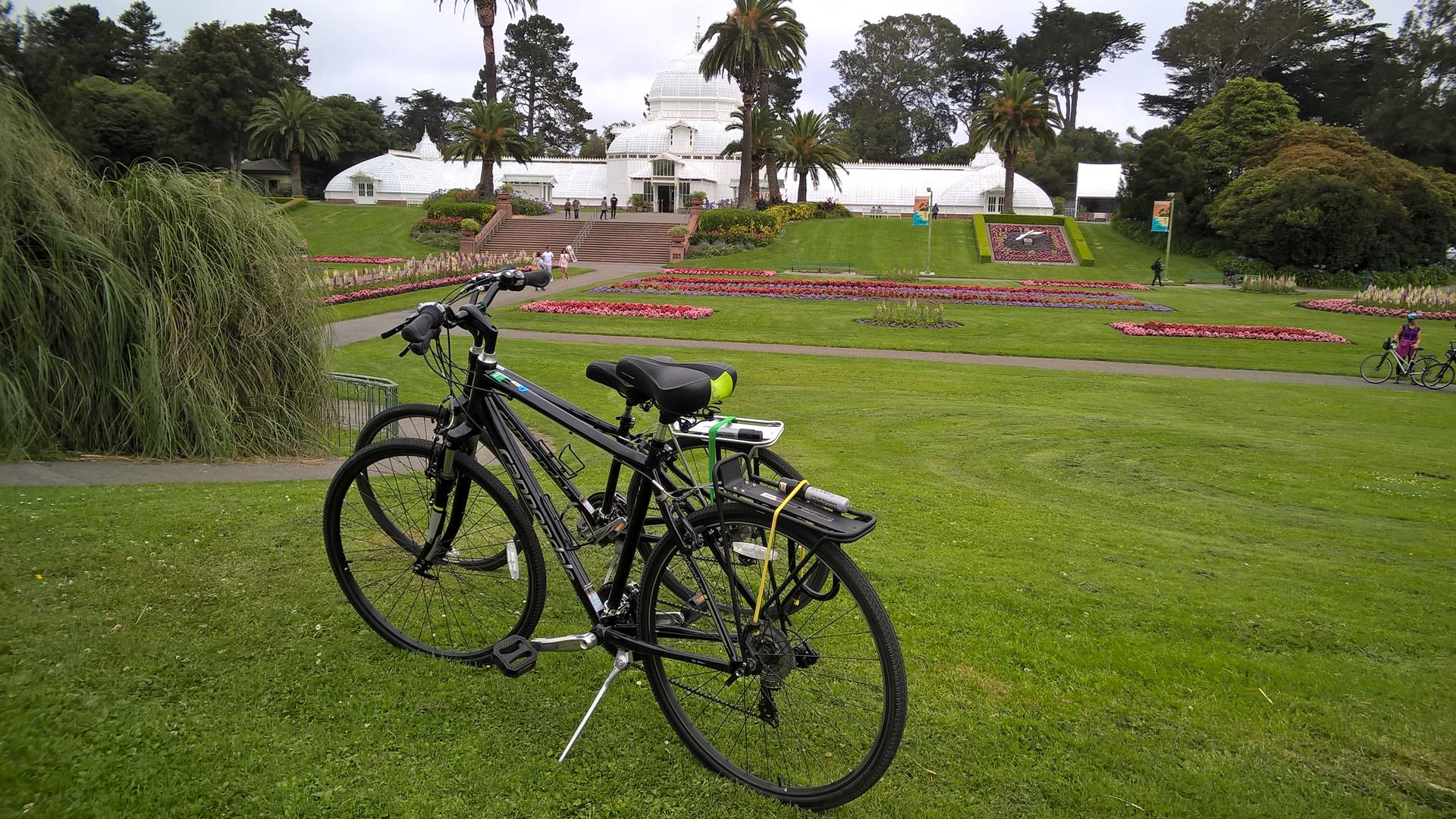 Im Golden Gate Park...