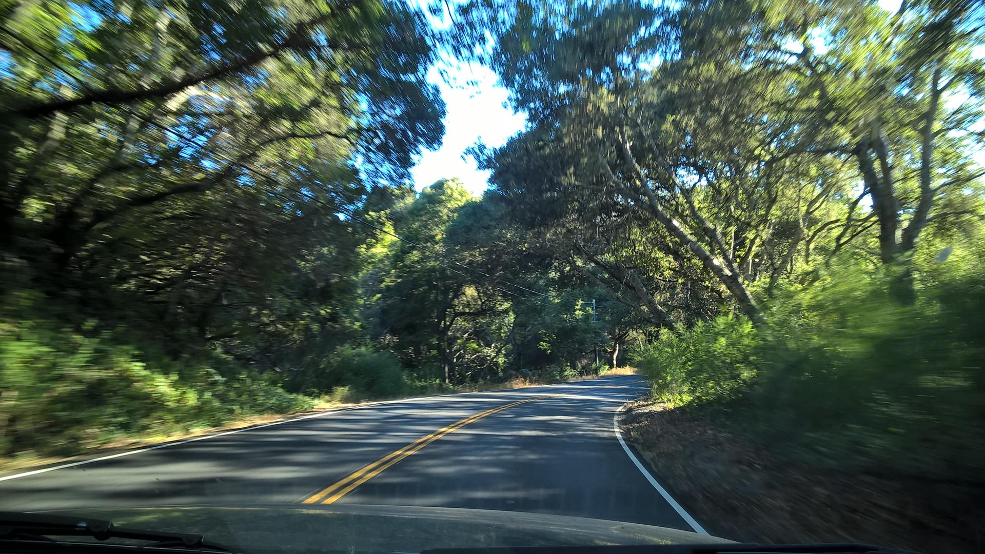 Die Fahrt durch den Wald...