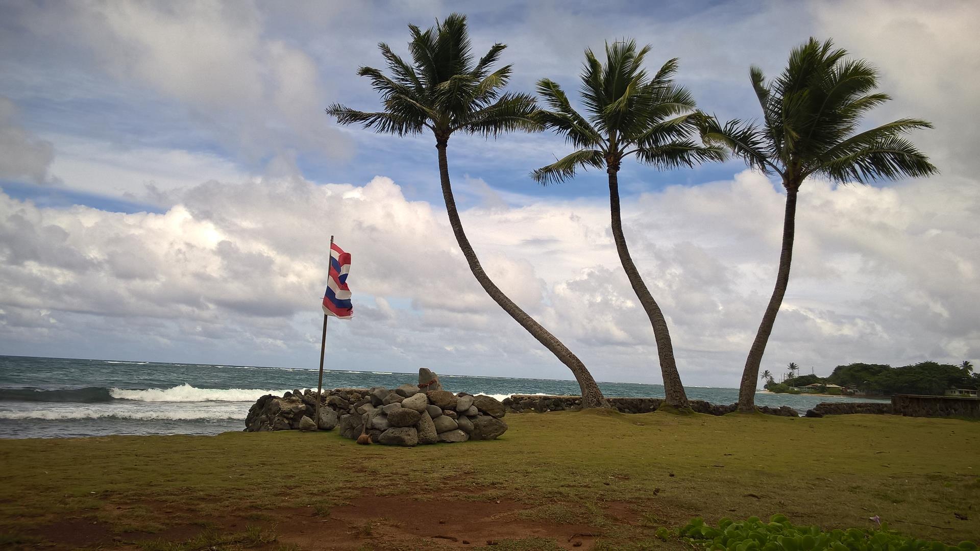 Eine Hawaii Flagge vor drei Palmen am Meer: Könnte kaum besser sein!