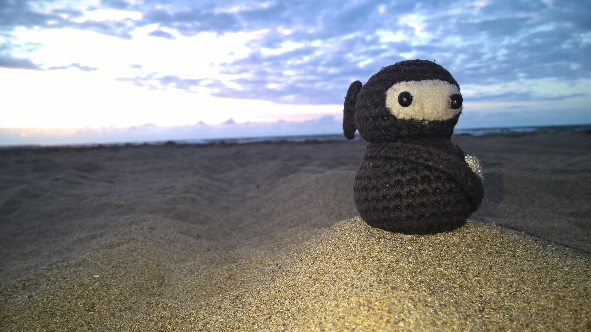 Neumel fühlt sich am Strand halt wohl