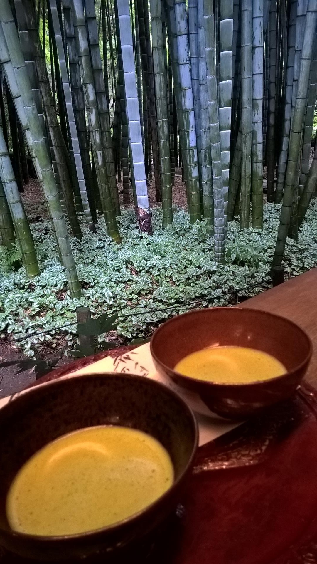 Meditative Stimmung bei einer Schale Matcha und dem Bambuswald vor Augen
