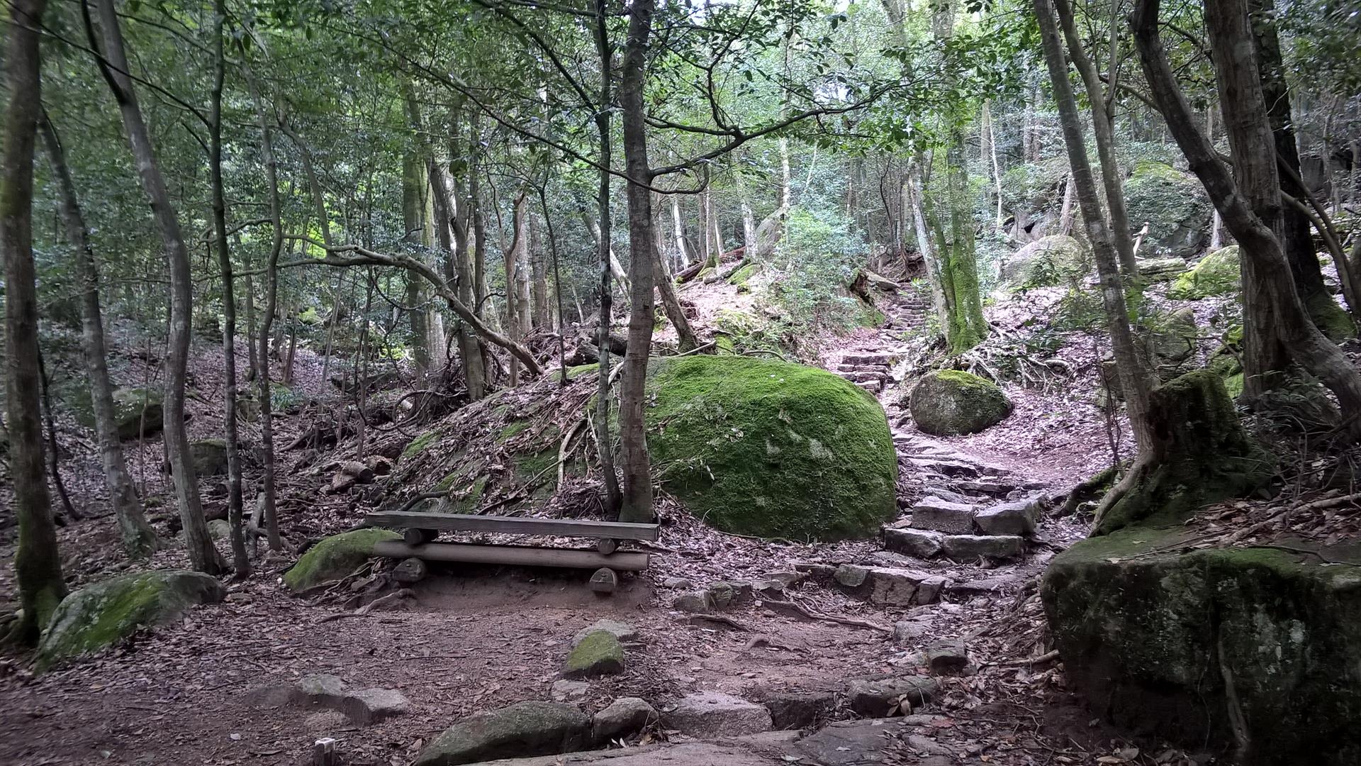 Ein Schritt nach dem Anderen: Immer weiter die Treppen hoch