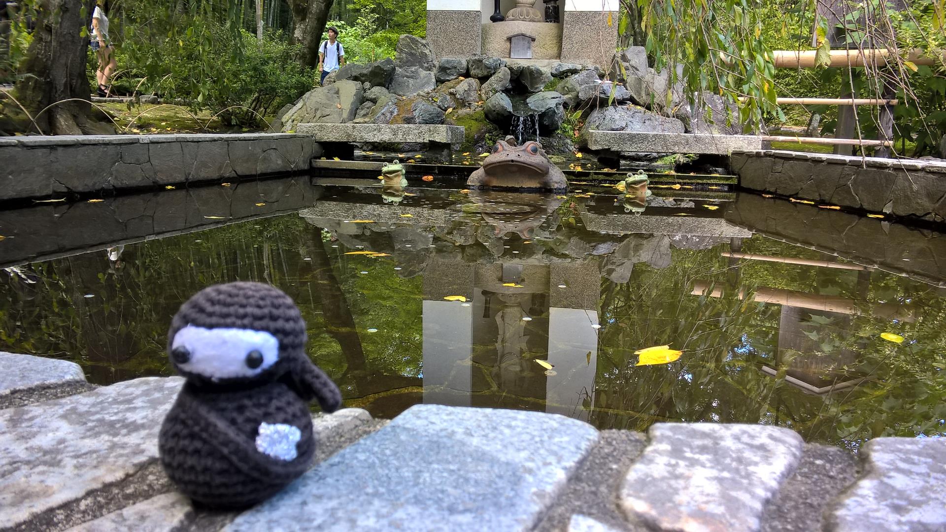 Moment mal! Riesenfrosch und Ninja? Ist das ein Narutu Cosplay?