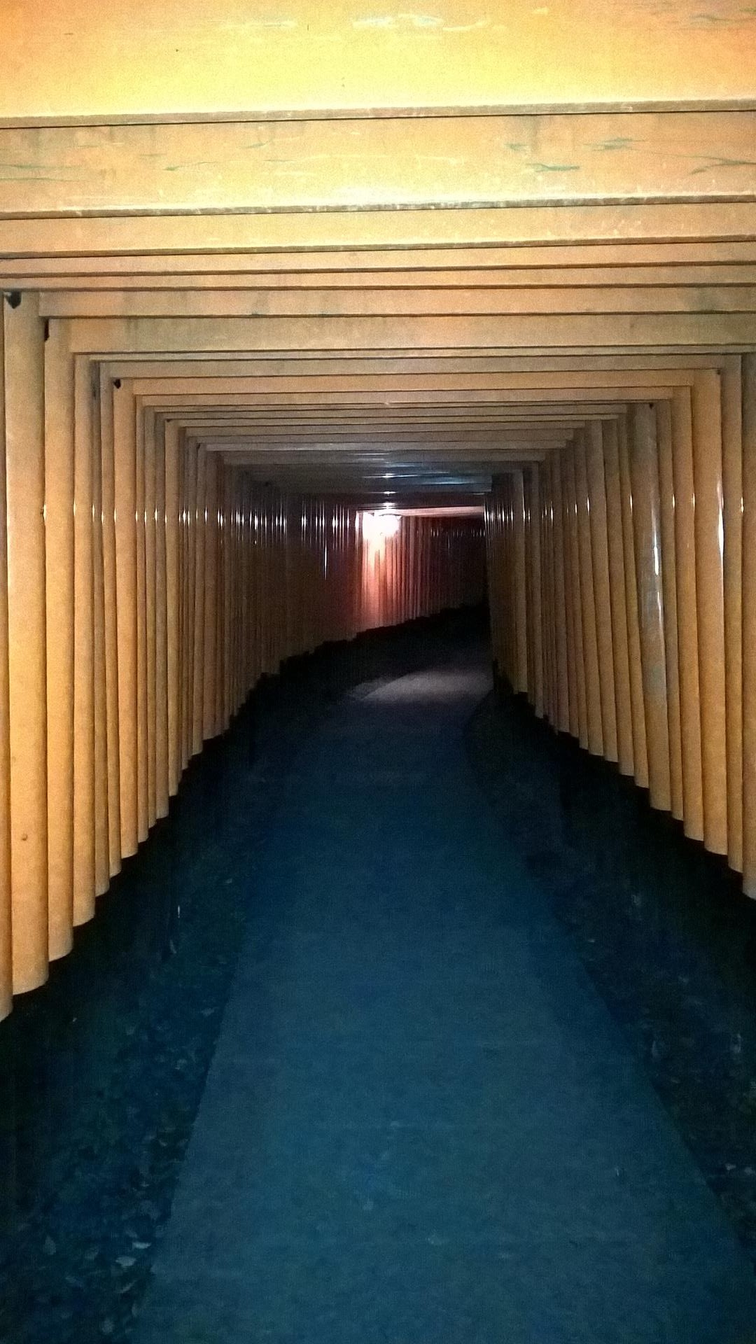 Bei Nacht werden die Bilder nicht sehr klar...
