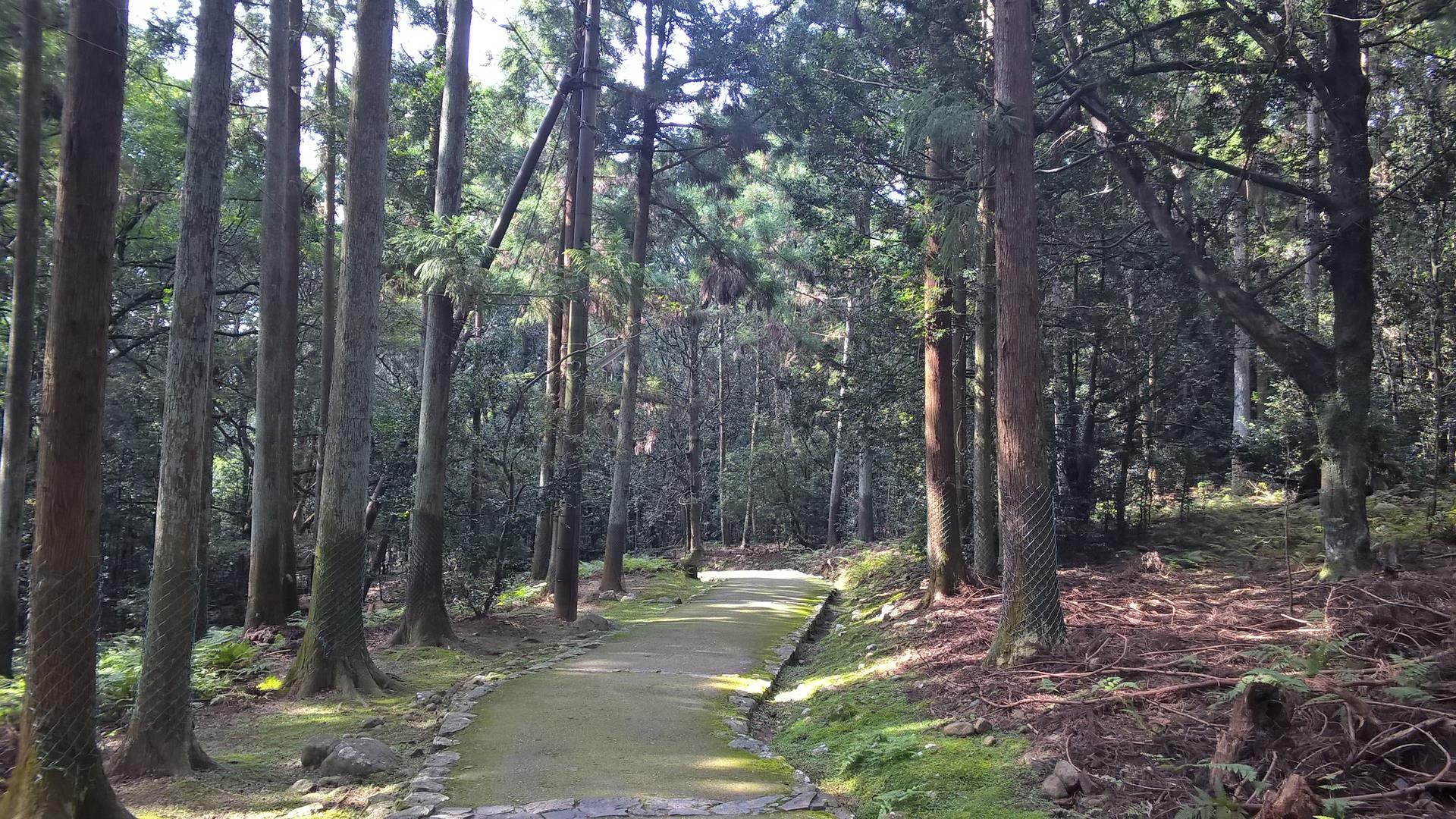 Der Park war - wie immer hier in Japan - sehr schön angelegt