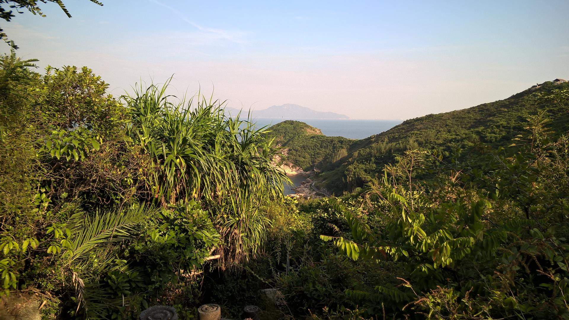 So grün kann Hong Kong sein