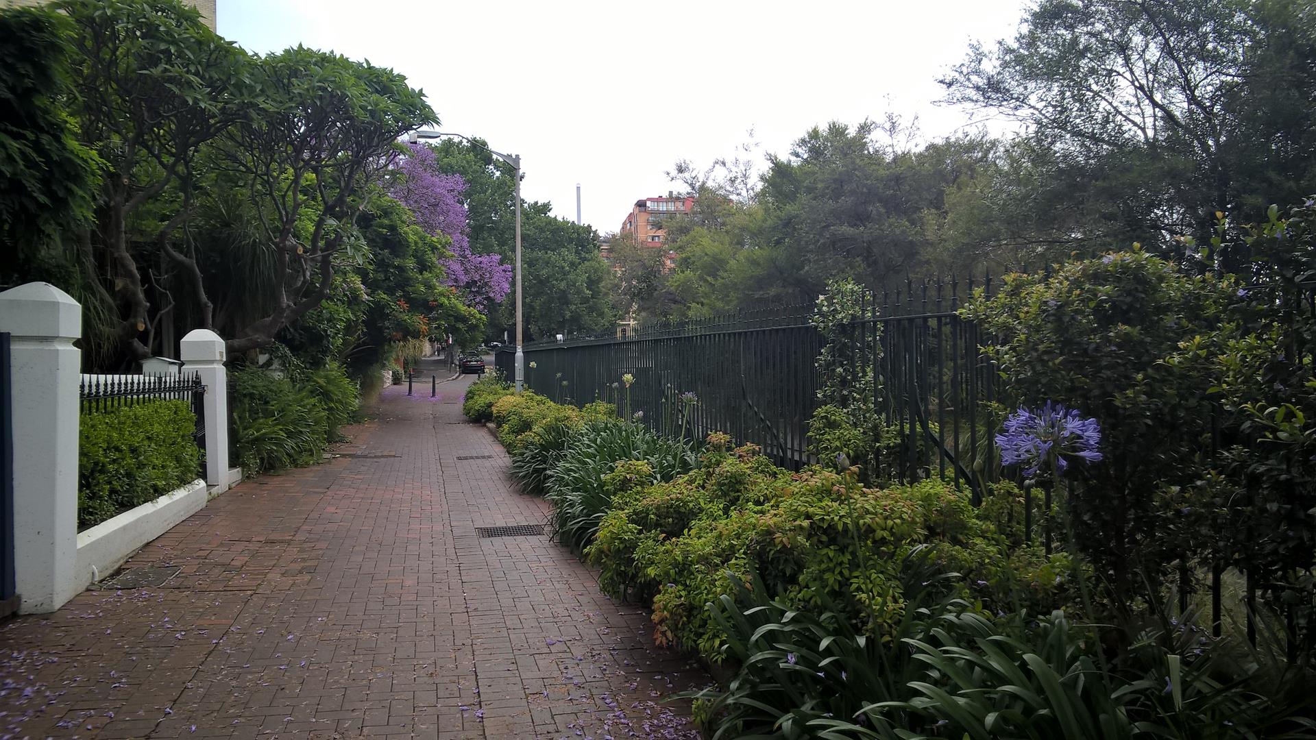 Straßenbild von Sydney