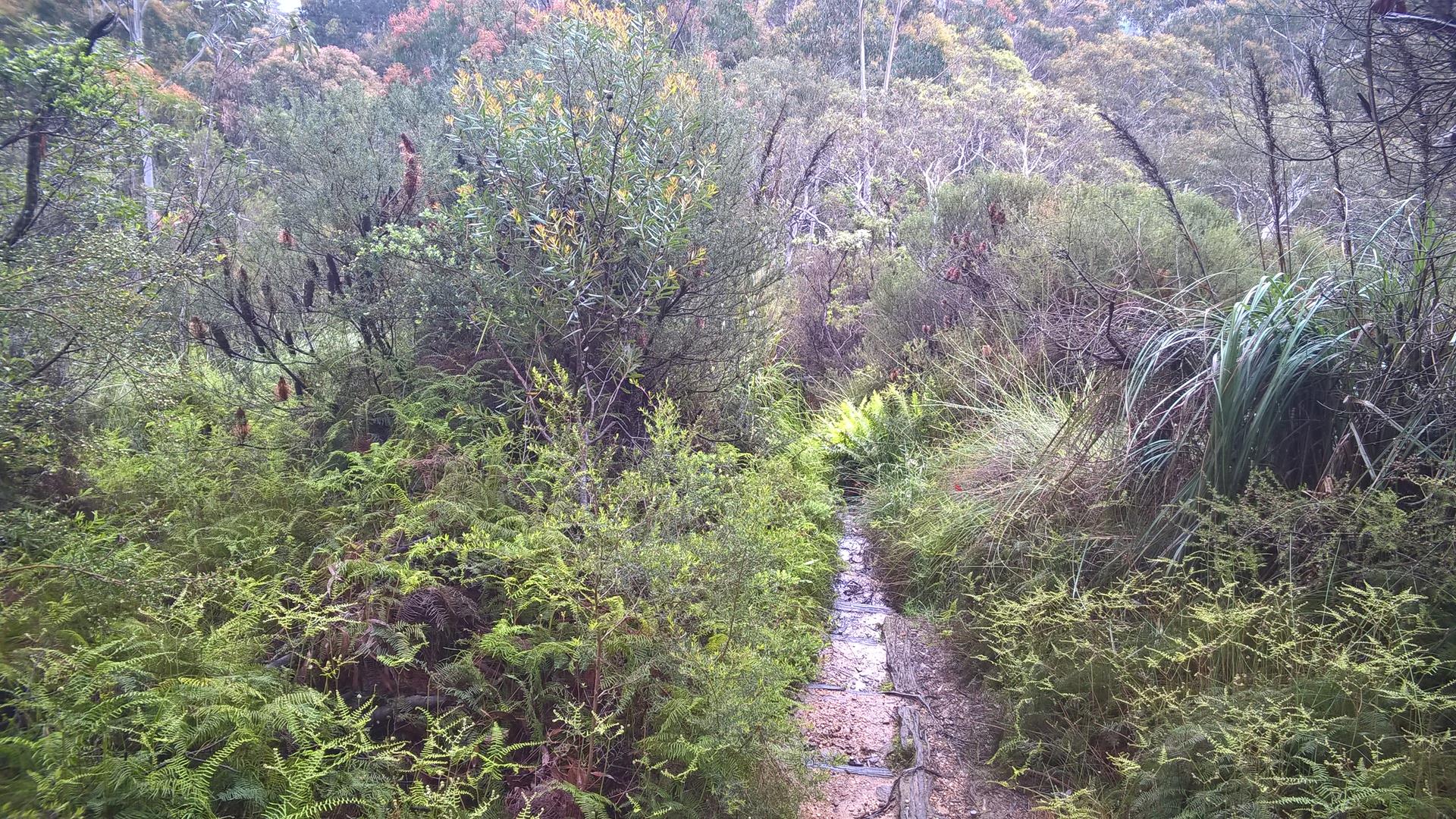 Wo ist nur der richtige Weg?