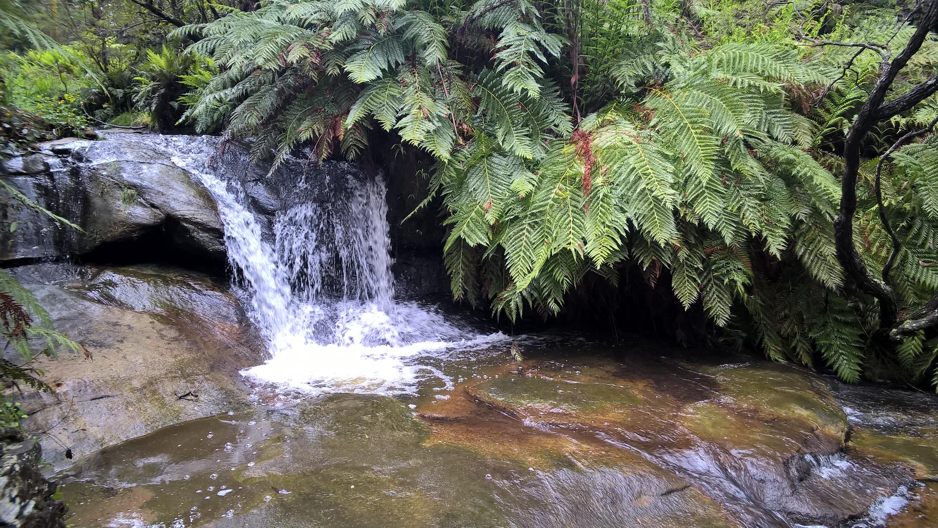 An den Leura Cascades...