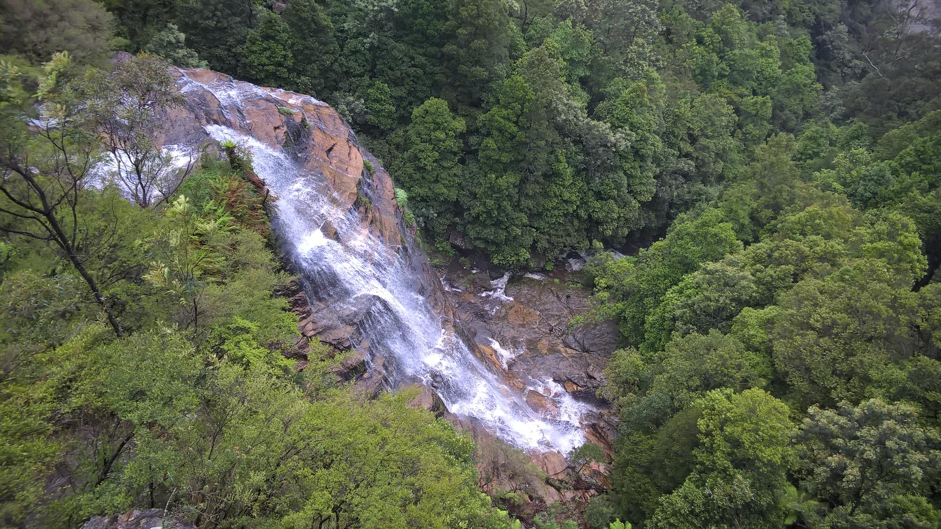 Der Wasserfall gehört noch zu den Leura Cascades