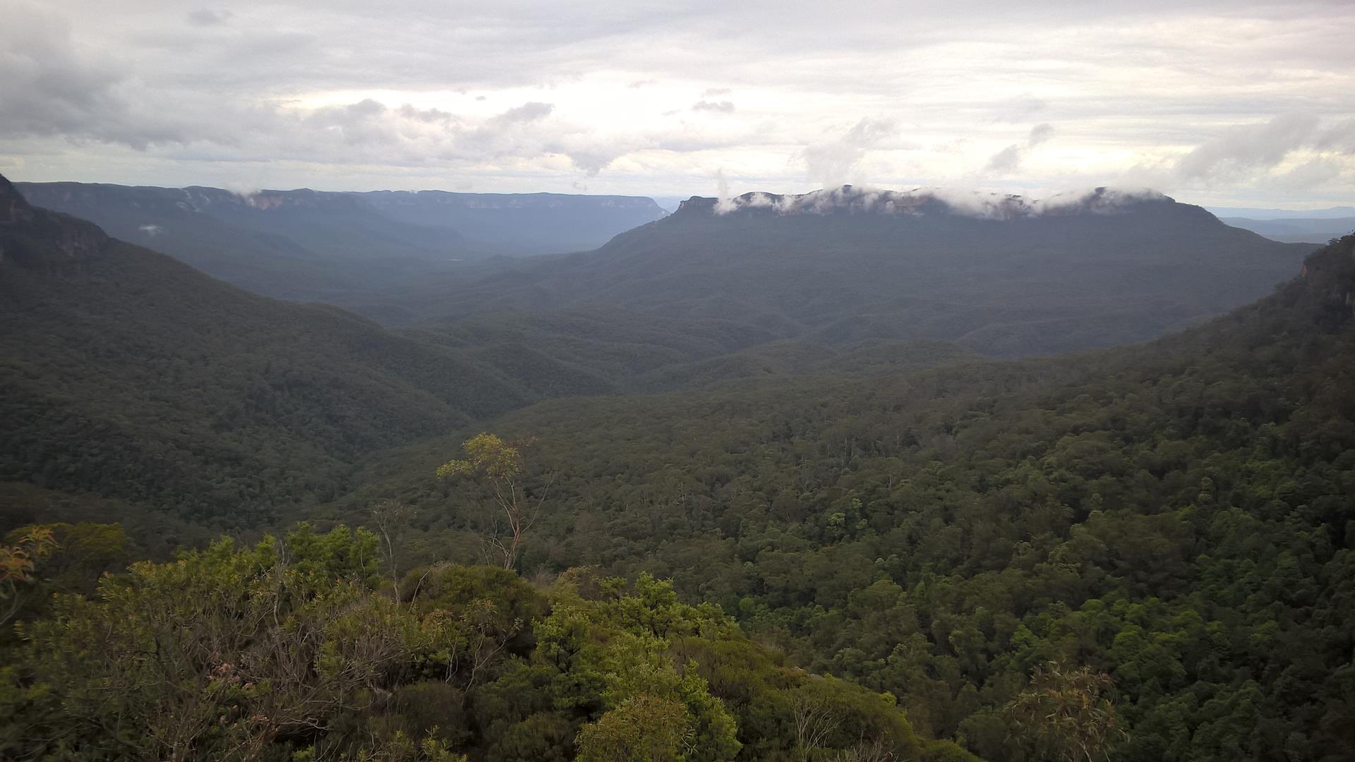 Der Blick in das Naturschutzgebiet der Blue Mountains