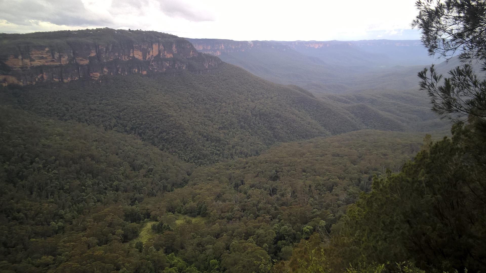 ... hatten wir immer wieder einen schönen Blick auf die Blue Mountains