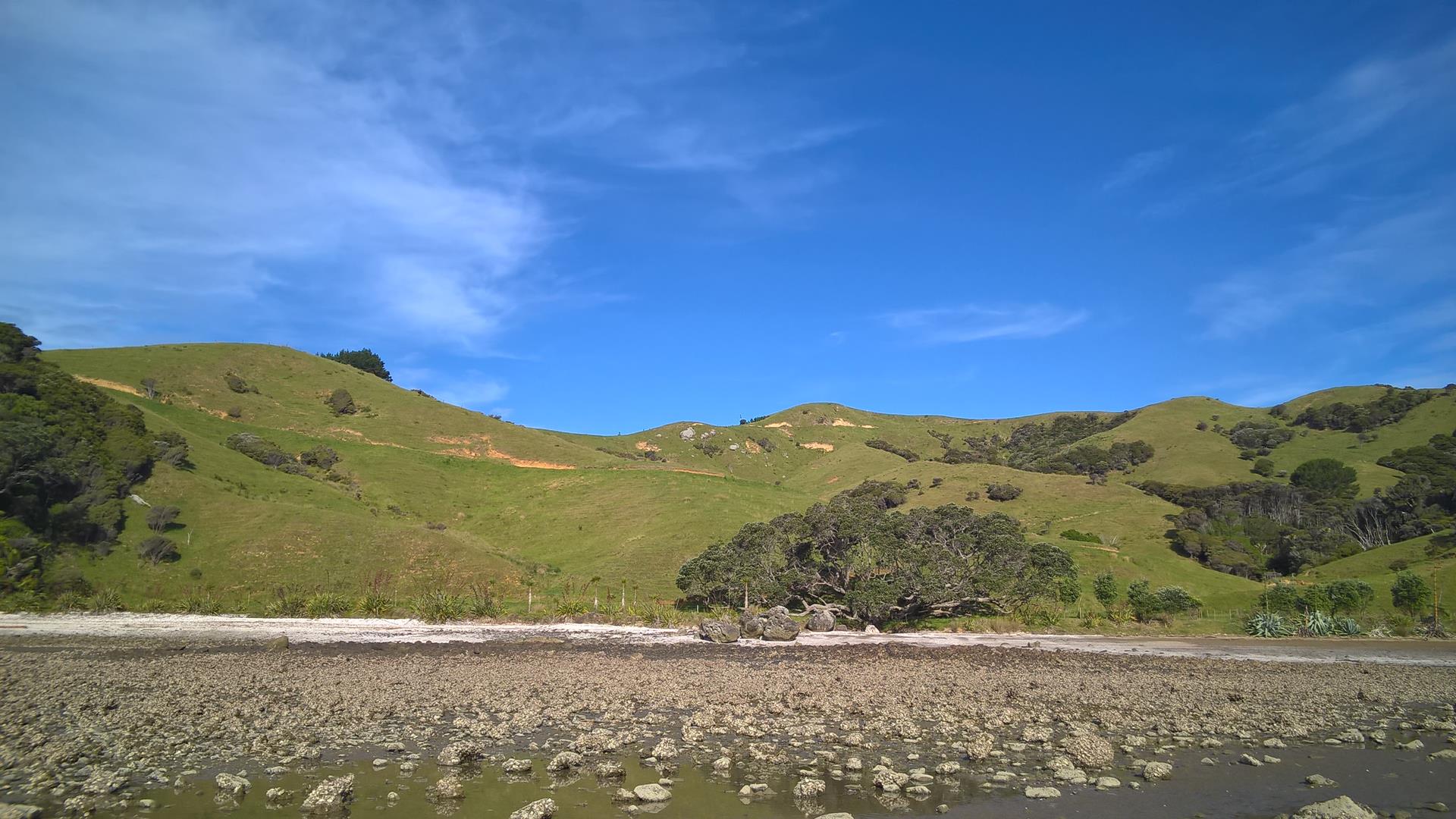 Die grünen Hügel sind sehr bezeichnend für Neuseeland