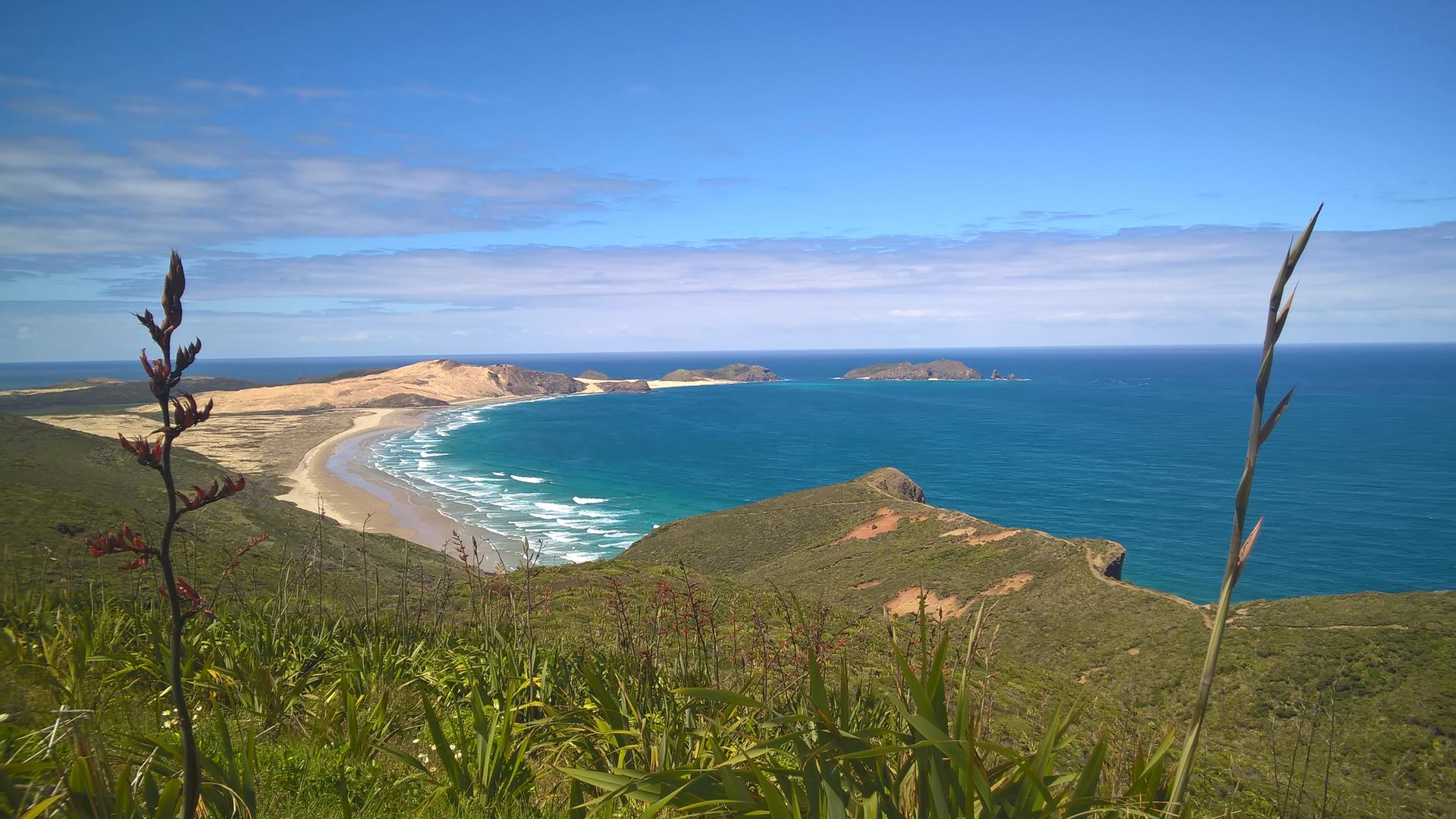 Cape Reinga bietet...