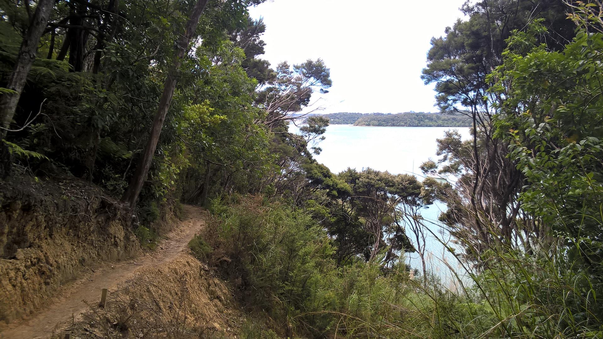 Die Bay of Islands bietet viele kleine Inseln