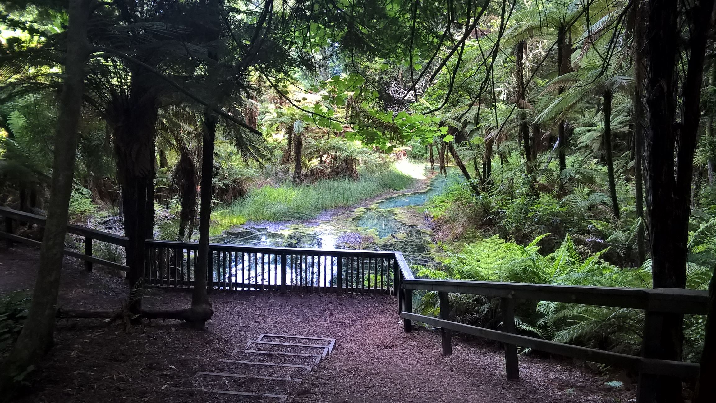 Ein weiterer schöner Spaziergang in der nähe von Rotorua