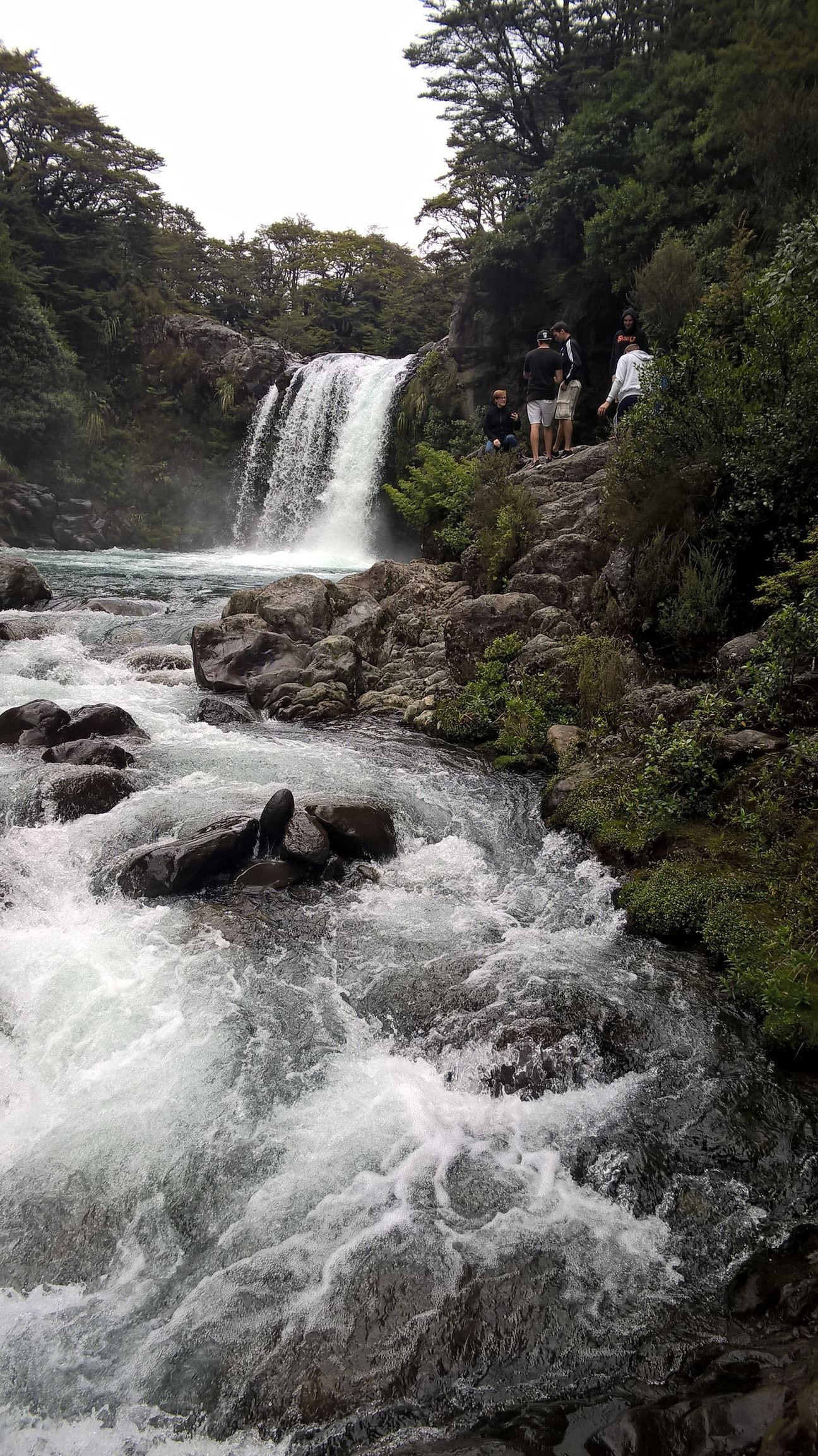 Hobbit oder Gollum? In dem Wasser hat Gollum nach einem Fisch gejagt