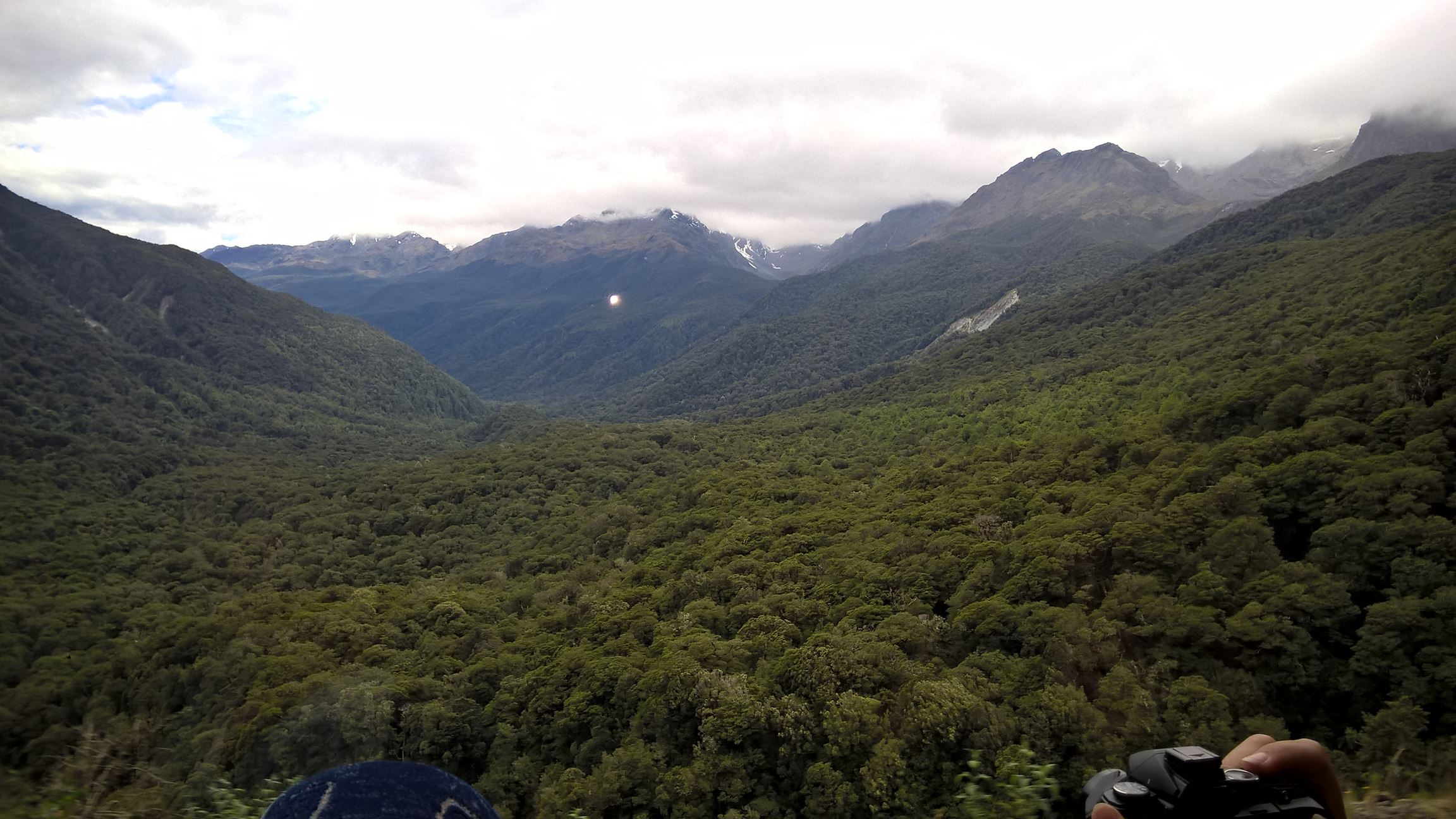 Im Nationalpark gibt es nur Grün