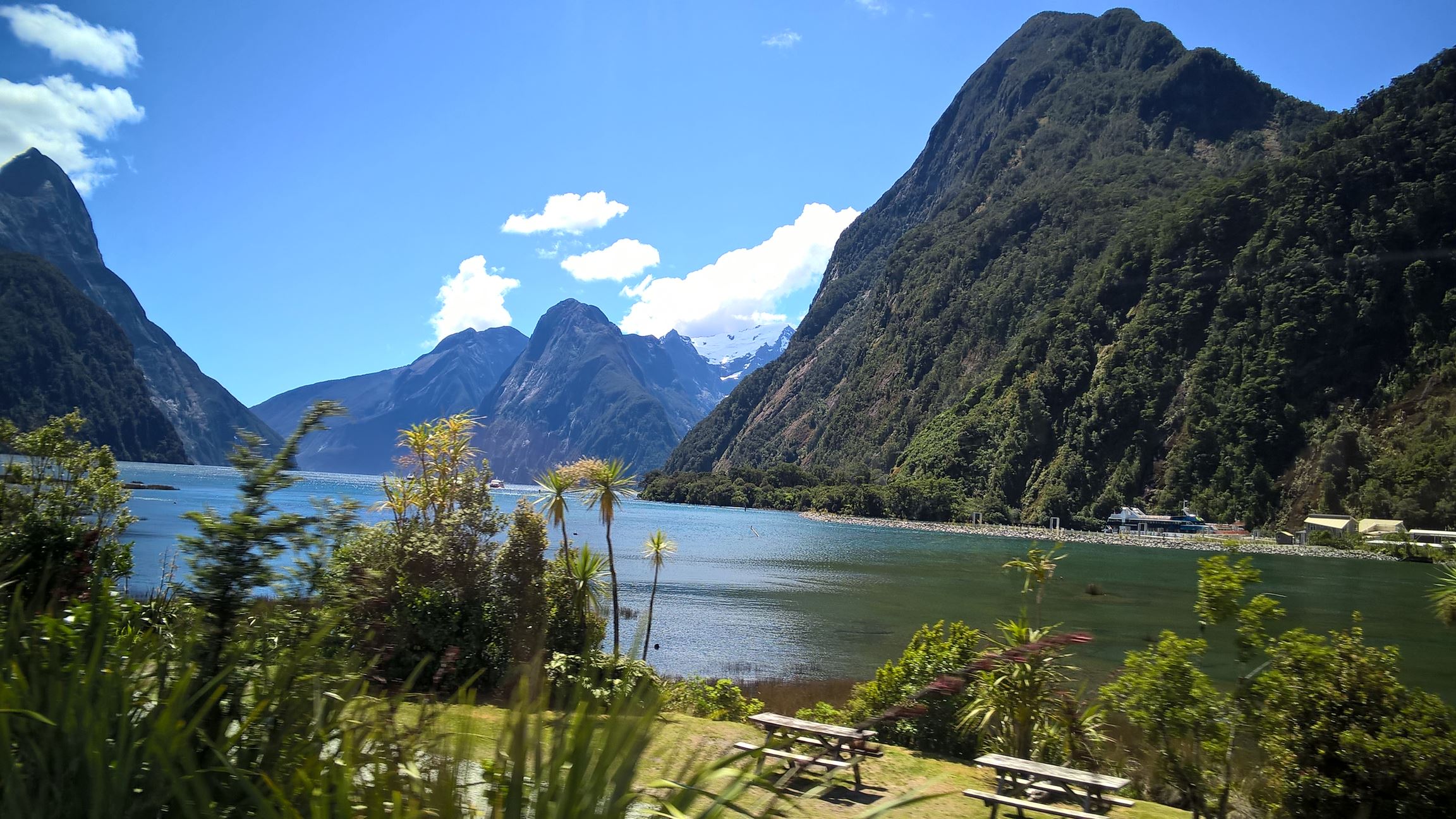 ... wir schließlich in Milford Sound ankommen