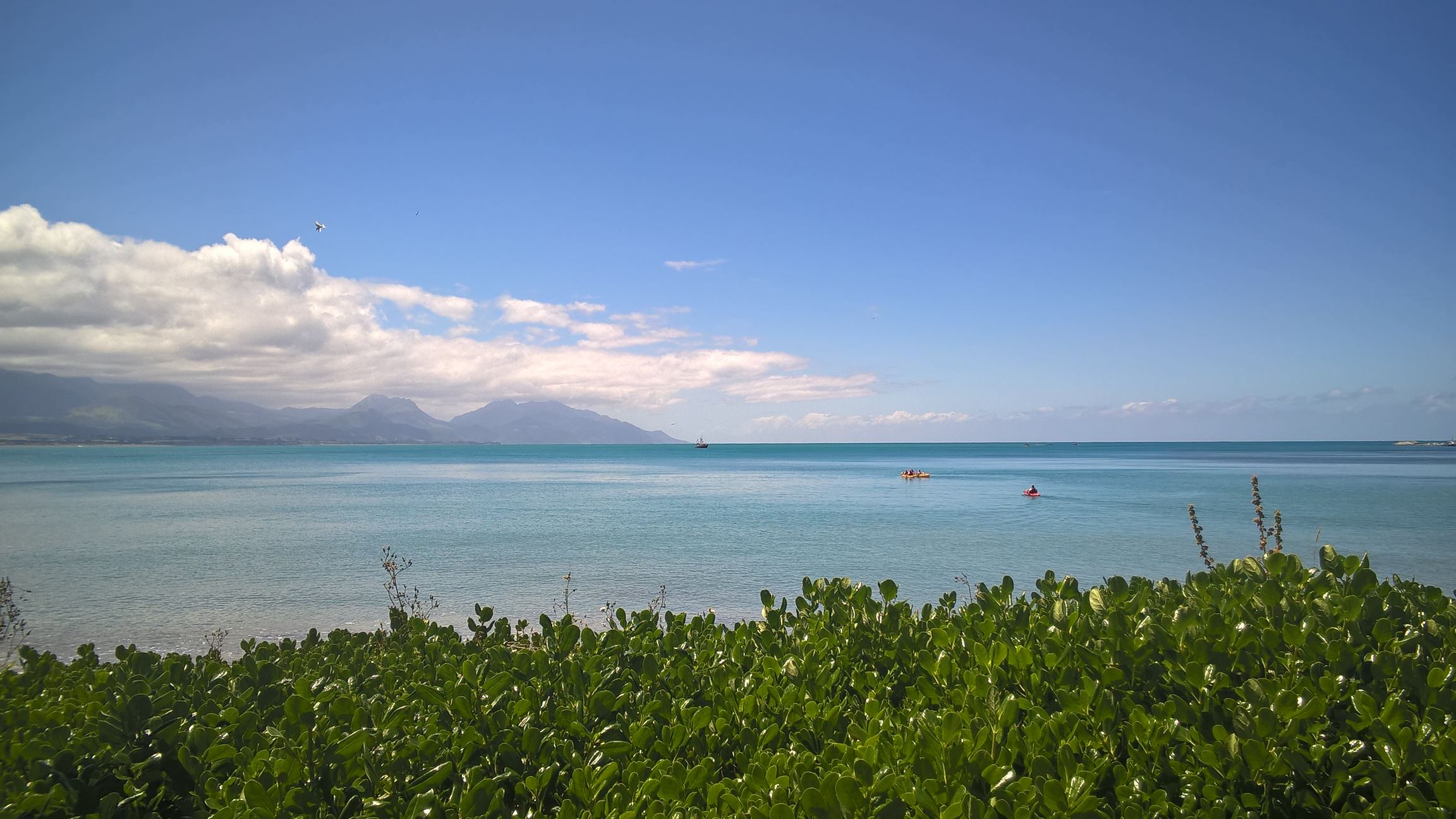 Das Meer bei Kaikoura ist einfach...